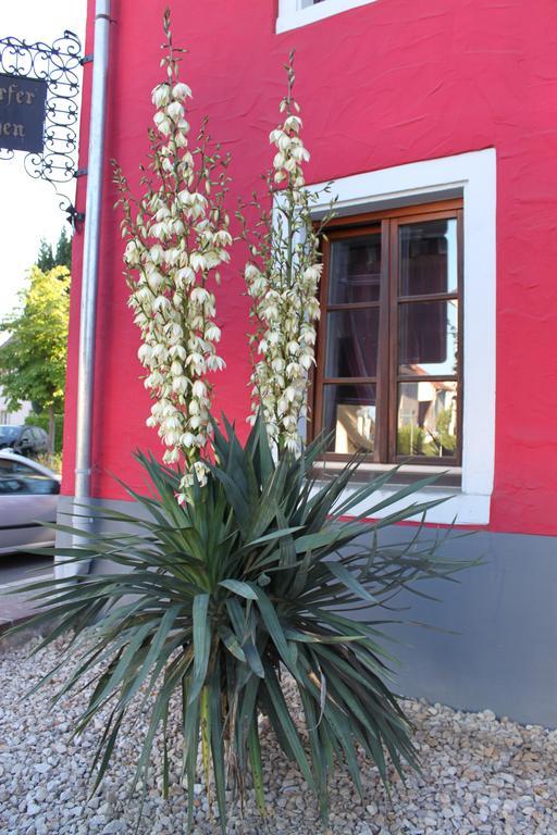 Hotel Restaurant Hochdorfer Hirschen